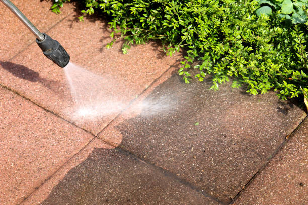 Best Pressure Washing Driveway  in Bellflower, CA